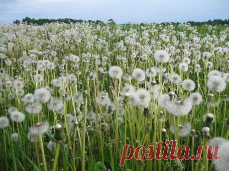 Избранное | Фотографии Елена Жёлтышева | 75 фото