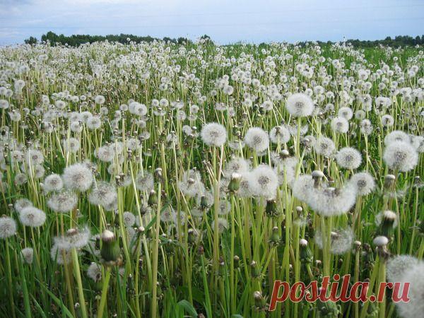 Избранное | Фотографии Елена Жёлтышева | 75 фото