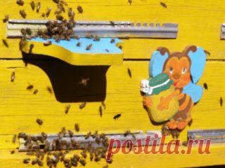 Одноклассники