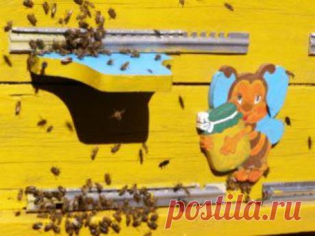 Одноклассники