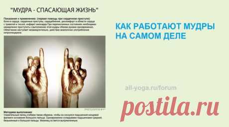 КАК РАБОТАЮТ МУДРЫ НА САМОМ ДЕЛЕ
https://all-yoga.ru/forum/showthread.php?t=6501
Здравствуйте.
Я не фанат йоги, но любитель. Для меня йога - это прежде всего физкультура и отдушина на фоне рабочих будней.
Я очень строго подхожу к восприятию информации, всякую потустороннюю фигню про планеты и богов я не воспринимаю. Мне для понимания необходимо грамотное объяснение.
Показать полностью…