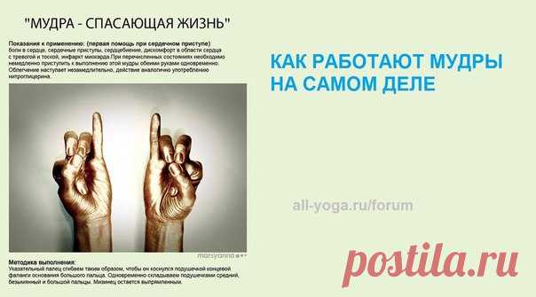 КАК РАБОТАЮТ МУДРЫ НА САМОМ ДЕЛЕ
http://all-yoga.ru/forum/showthread.php?t=6501
Здравствуйте.
Я не фанат йоги, но любитель. Для меня йога - это прежде всего физкультура и отдушина на фоне рабочих будней.
Я очень строго подхожу к восприятию информации, всякую потустороннюю фигню про планеты и богов я не воспринимаю. Мне для понимания необходимо грамотное объяснение.
Показать полностью…