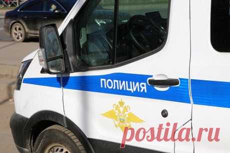 Преследовавший бывшую подругу россиянин разбил голову ее собаки об асфальт