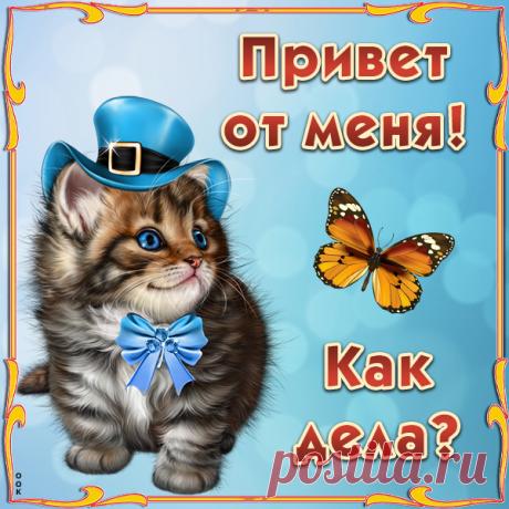 Картинка Яркий приветик тебе посылаю