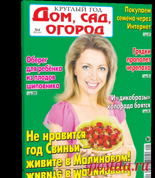 Читать журнал Круглый год: дом, сад, огород №4 2019 бесплатно - полная версия.