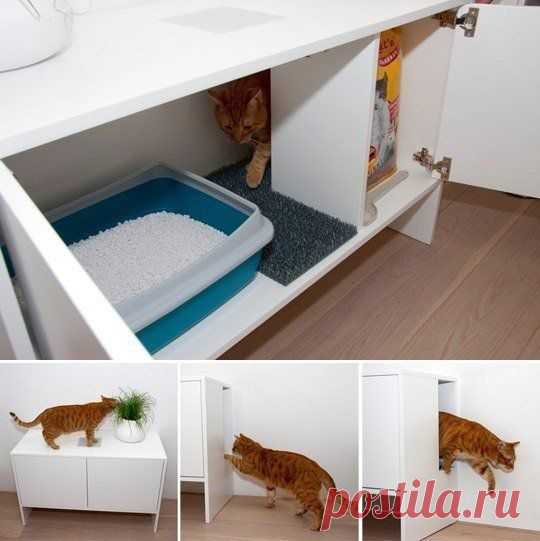 Как спрятать кошачий лоток.