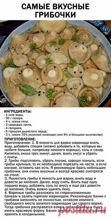 Моя Кухня.Bкусная еда с любовью | Группа на OK.ru | Вступай, читай, общайся в Одноклассниках!