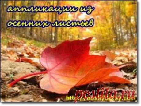 Аппликации из листьев. Поделки из природного материала