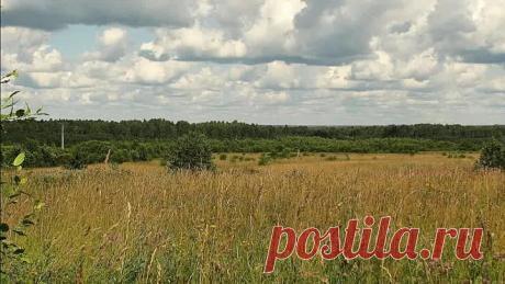 Ах, если бы можно...Игорь Дудин