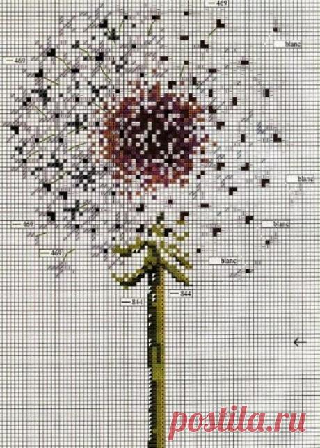 Вино из одуванчиков - прелестные схемы для вязания и вышивки  Вино из одуванчиков
Вино из одуванчиковых цветков - это прекрасный аромат, который поднимается над землей в ясный летний полдень.
Это время сбора.
В этот момент вы должны иметь это вино из одуванчика.
Вы можете попробовать его или добавить в салат.
На самом деле это напиток, который был изготовлен в штате Айова только после Второй мировой войны, и он очень богат питательными веществами для человеческого организма.
Из-за этого многие…