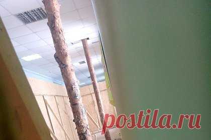 Прогнивший потолок в российской школе подперли бревном вместо ремонта