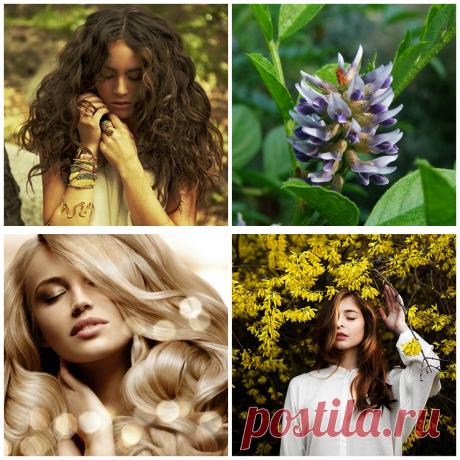 Tratamento de cabelo em casa: Segredos de mundo de beleza feminina