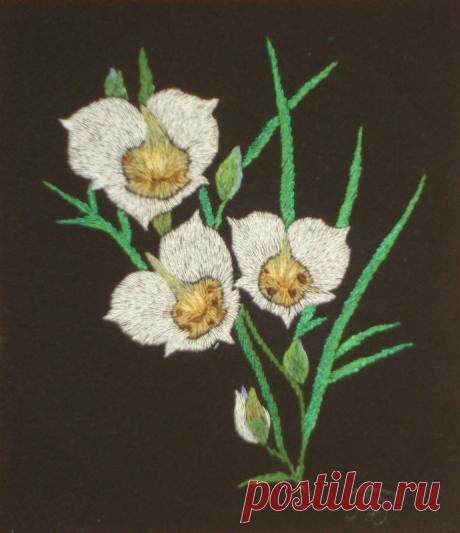 Яндекс.Фотки