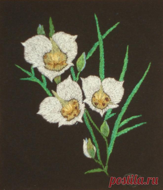 Яндекс.Фотки