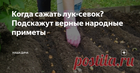 Когда сажать лук-севок? Подскажут верные народные приметы 
Лук- лучок, ядреные репки которого выращивают практически все дачники нашей необъятной страны... На дворе апрель, во многих регионах, особенно южных, уже давно наступила горячая пора посева и высадки культур. Но, даже если у вас пока еще прохладно, все равно вы наверняка строите планы – где, что, а, главное, когда посадить лук?
