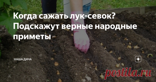 Когда сажать лук-севок? Подскажут верные народные приметы 
Лук- лучок, ядреные репки которого выращивают практически все дачники нашей необъятной страны... На дворе апрель, во многих регионах, особенно южных, уже давно наступила горячая пора посева и высадки культур. Но, даже если у вас пока еще прохладно, все равно вы наверняка строите планы – где, что, а, главное, когда посадить лук?