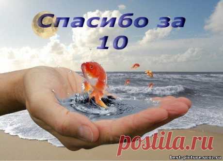 Фото СПАСИБО!. Альбом БЛАГОДАРНОСТИ - 50 фото. Фотографии zoja simonova.