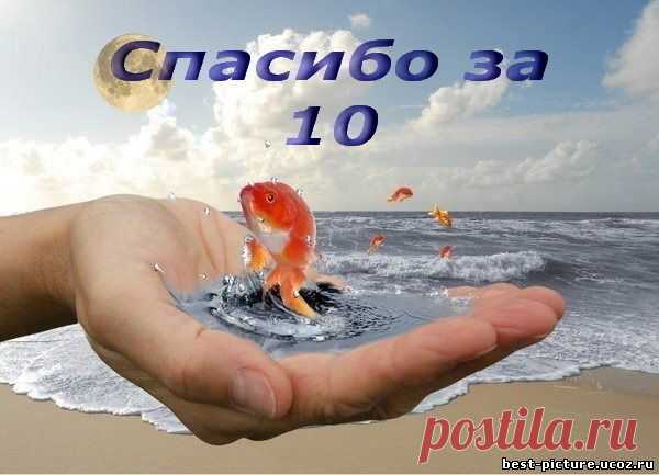 Фото СПАСИБО!. Альбом БЛАГОДАРНОСТИ - 50 фото. Фотографии zoja simonova.