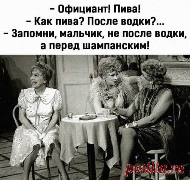 Юмор про алкоголь. Шикардятина! / Писец - приколы интернета
