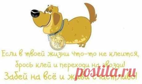 ... Всегда и во всех ситуациях оставаться оптимистом