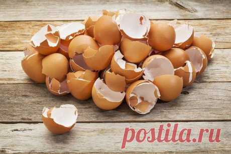 ЛЕКАРСТВА ИЗ… ПРОДУКТОВЫХ ОТХОДОВ | Хитрости Жизни