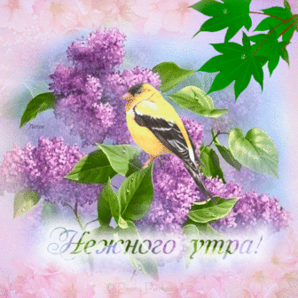 Музыкальная открытка Пусть с водой уйдут все печали,и невзгоды !!! С Чистым Четвергом Вас друзья. С уважением Вера.