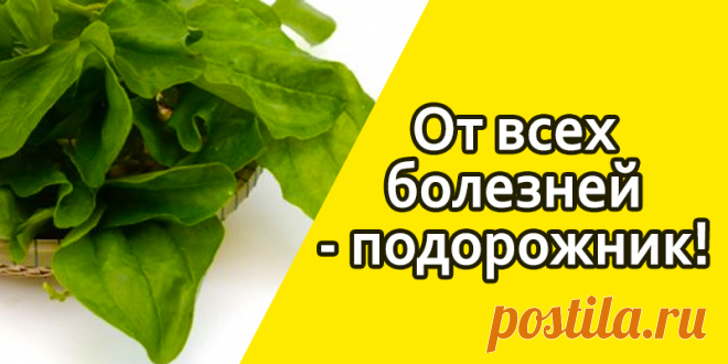 Полезные Советы | Полезные советы!