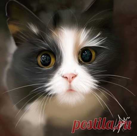 Такой милашка! 😻