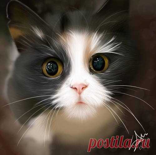 Такой милашка! 😻