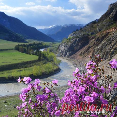 35PHOTO - Походник - Весна на Алтае