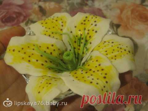 Домашние вафли: венские, бельгийские, хрустящие, мягкие - лучшие рецепты. Как правильно испечь вафли в домашних условиях. - Кулинария