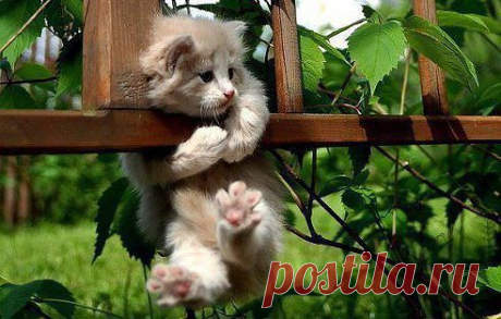 Привет !!!
Заглянул узнать, как ваши дела, друзья? 
А ну-ка, улыбнитесь!!! 
Дарю отличное настроение!!!

Вам Улыбка на страничку присоединяйтесь в группу &gt;&gt; ok.ru/darteplo