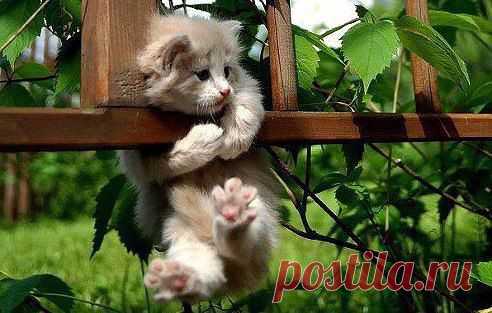 Привет !!!
Заглянул узнать, как ваши дела, друзья? 
А ну-ка, улыбнитесь!!! 
Дарю отличное настроение!!!

Вам Улыбка на страничку присоединяйтесь в группу >> ok.ru/darteplo