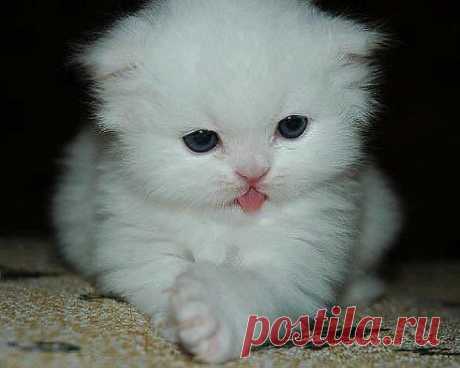 Внимание! Человек который сейчас читает мой статус, ну просто обязан поставить мне класс, потому что я желаю ему здоровья, счастья, любви и удачи!:D :) :)
Присоединяйтесь :>> https://www.odnoklassniki.ru/words.of.wisdom
•••в продолжении ссылка