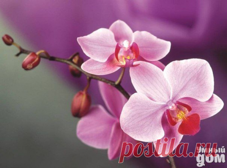 Фотографии на стене сообщества | 32 857 фотографий | ВКонтакте