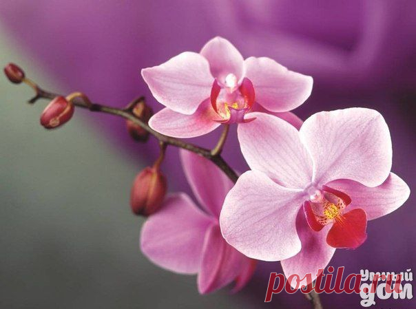 Фотографии на стене сообщества | 32 857 фотографий | ВКонтакте