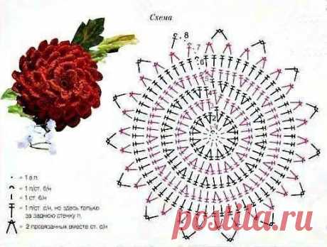 ​Вязаные георгины
