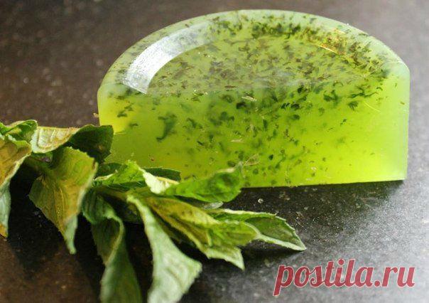 Домашнее травяное мыло | Домохозяйка