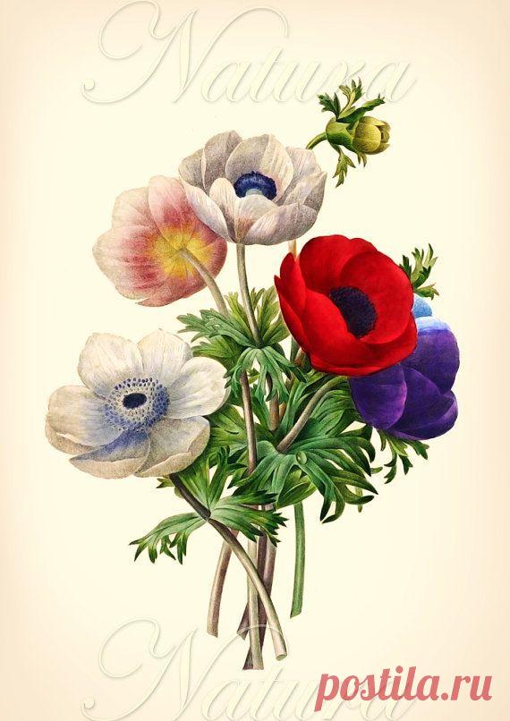 Найдено на сайте etsy.com.