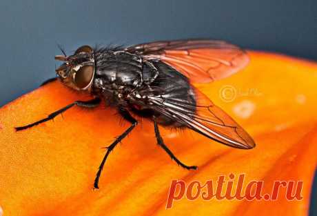 Фотографии пользователя Frank