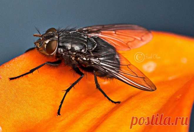 Фотографии пользователя Frank