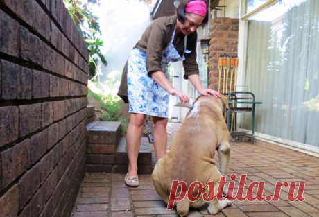 15 неожиданных решений в использовании детской присыпки