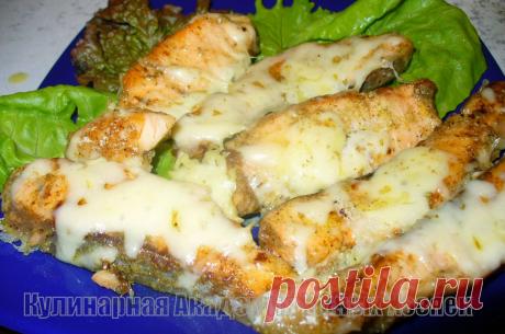 Кулинарная Академия Умных Хозяек: Семга на сковороде с сыром