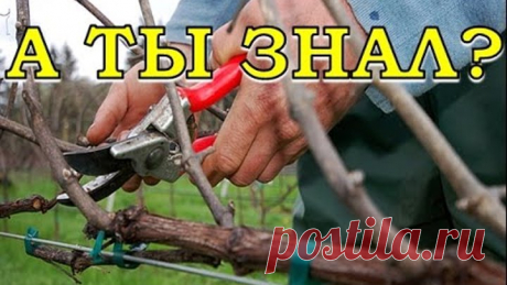 (51) Одноклассники