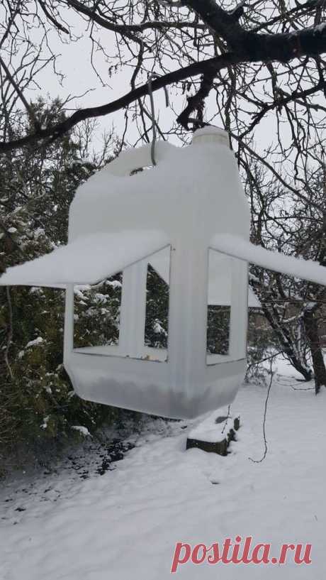 (29) Pinterest - Bird Feeder. Creative Ways to Reuse Old Plastic Bottles | Plastic bottles