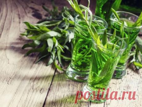 9 пряных трав, которые можно вырастить на кухонном подоконнике