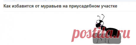 Как избавится от муравьев на приусадебном участке | Мастер