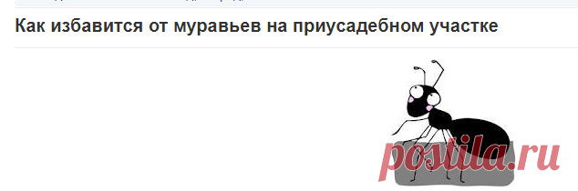Как избавится от муравьев на приусадебном участке | Мастер