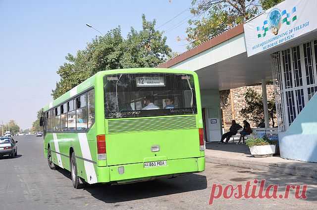 Фая МАРДАНОВА(ЗИАТДИНОВА)
46 лет, Россия, Набережные челны