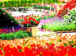 Заботимся о сердце | Советы Народной Мудрости